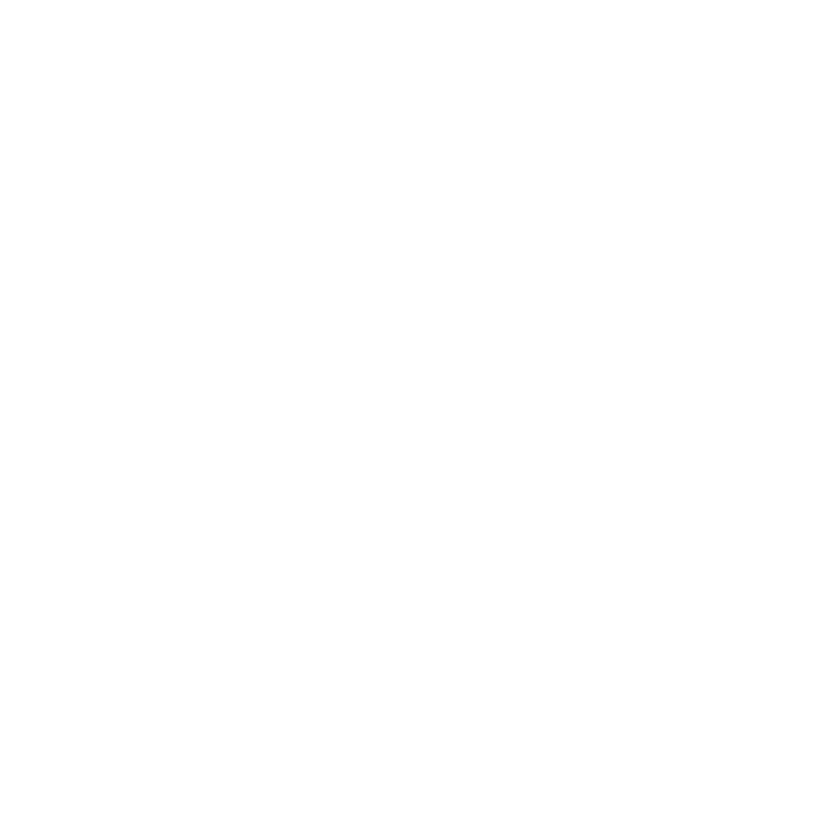 Bmw logo